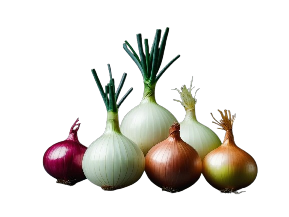 Onion Flavor